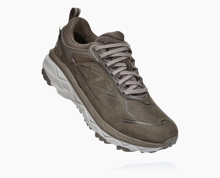 Hoka One One Trailove Tenisky Damske Hnede - Challenger Nizke GORE-TEX - 30429-HTOZ